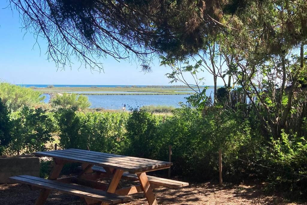 Magnifique Villa Avec Piscine Villeneuve-lès-Maguelonne Dış mekan fotoğraf